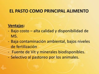 EL PASTO COMO PRINCIPAL ALIMENTO
Ventajas:
- Bajo costo – alta calidad y disponibilidad de
MS.
- Baja contaminación ambiental, bajos niveles
de fertilización
- Fuente de Vit y minerales biodisponibles.
- Selectivo al pastoreo por los animales.
 