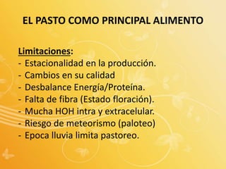 EL PASTO COMO PRINCIPAL ALIMENTO
Limitaciones:
- Estacionalidad en la producción.
- Cambios en su calidad
- Desbalance Energía/Proteína.
- Falta de fibra (Estado floración).
- Mucha HOH intra y extracelular.
- Riesgo de meteorismo (paloteo)
- Epoca lluvia limita pastoreo.
 