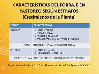 CARACTERÍSTICAS DEL FORRAJE EN
PASTOREO SEGÚN ESTRATOS
(Crecimiento de la Planta)
ESTRATO CARACTERÍSTICAS
SUPERIOR • > HOJAS < TALLOS
• < FIBRA EFECTIVA
• > PROTEINA < ENERGIA
• > TASA DE PASAJE EN EL TRACTO DIGESTIVO
ESTADO FENOLÓGICO ÓPTIMO: 20% BOTON FLORAL
INFERIOR • < HOJAS Y > TALLOS
• > FIBRA (PERMITE PALOTEO)
REBROTE = 5, 6 cm DEPENDIENDO DEL FORRAJE, CORTE Y/O PASTOREO
Fuente: Adaptación Cook D. F. Curso Alimentación Animal. Fac Agronomía. UNSCH
 
