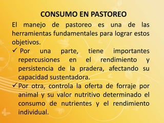CONSUMO EN PASTOREO
El manejo de pastoreo es una de las
herramientas fundamentales para lograr estos
objetivos.
 Por una parte, tiene importantes
repercusiones en el rendimiento y
persistencia de la pradera, afectando su
capacidad sustentadora.
Por otra, controla la oferta de forraje por
animal y su valor nutritivo determinado el
consumo de nutrientes y el rendimiento
individual.
 