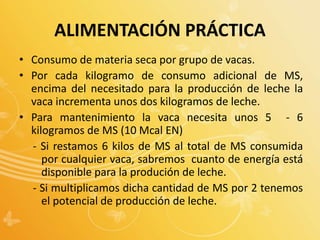 ALIMENTACIÓN PRÁCTICA
• Consumo de materia seca por grupo de vacas.
• Por cada kilogramo de consumo adicional de MS,
encima del necesitado para la producción de leche la
vaca incrementa unos dos kilogramos de leche.
• Para mantenimiento la vaca necesita unos 5 - 6
kilogramos de MS (10 Mcal EN)
- Si restamos 6 kilos de MS al total de MS consumida
por cualquier vaca, sabremos cuanto de energía está
disponible para la produción de leche.
- Si multiplicamos dicha cantidad de MS por 2 tenemos
el potencial de producción de leche.
 