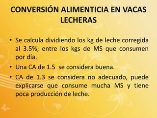 CONVERSIÓN ALIMENTICIA EN VACAS
LECHERAS
• Se calcula dividiendo los kg de leche corregida
al 3.5%; entre los kgs de MS que consumen
por día.
• Una CA de 1.5 se considera buena.
• CA de 1.3 se considera no adecuado, puede
explicarse que consume mucha MS y tiene
poca producción de leche.
 