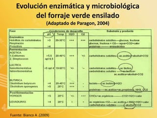 Evolución enzimática y microbiológica
del forraje verde ensilado
(Adaptado de Paragon, 2004)
Fuente: Bianco A .(2009)
 