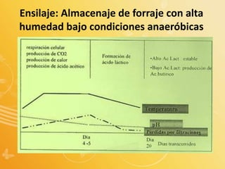 Ensilaje: Almacenaje de forraje con alta
humedad bajo condiciones anaeróbicas
 