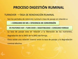 PROCESO DIGESTIÓN RUMINAL
TURNOVER TASA DE RENOVACIÓN RUMINAL
- Son los períodos de retención ruminal o tasa de pasaje en relación a:
> CONSUMO DE MS < EFICIENCIA DE CONVERSIÓN
- EN PASTOREO HAY > TURN OVER < DIGESTIBILIDAD > CONSUMO FORRAJE
- La tasa de pasaje esta en relación a la liberación de los nutrientes,
degradación de la (MO) de la (MS) del forraje.
- Osea existe una relación inversa entre la tasa de pasaje y la degradación
ruminal efectiva.
 