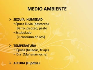 MEDIO AMBIENTE
 SEQUÍA HUMEDAD
• Época lluvia (pastoreo)
Barro, pisoteo, pasto
• Estabulado
(< consumo de MS)
 TEMPERATURA
• Época (heladas, friaje)
• Día (Mañana/noche)
 ALTURA (Hipoxia)
 