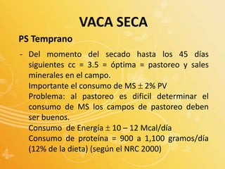 PS Temprano
- Del momento del secado hasta los 45 días
siguientes cc = 3.5 = óptima = pastoreo y sales
minerales en el campo.
Importante el consumo de MS  2% PV
Problema: al pastoreo es dificil determinar el
consumo de MS los campos de pastoreo deben
ser buenos.
Consumo de Energía  10 – 12 Mcal/día
Consumo de proteína = 900 a 1,100 gramos/día
(12% de la dieta) (según el NRC 2000)
VACA SECA
 