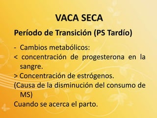 Período de Transición (PS Tardío)
- Cambios metabólicos:
< concentración de progesterona en la
sangre.
> Concentración de estrógenos.
(Causa de la disminución del consumo de
MS)
Cuando se acerca el parto.
VACA SECA
 