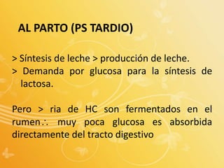 AL PARTO (PS TARDIO)
> Síntesis de leche > producción de leche.
> Demanda por glucosa para la síntesis de
lactosa.
Pero > ria de HC son fermentados en el
rumen muy poca glucosa es absorbida
directamente del tracto digestivo
 