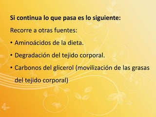 Si continua lo que pasa es lo siguiente:
Recorre a otras fuentes:
• Aminoácidos de la dieta.
• Degradación del tejido corporal.
• Carbonos del glicerol (movilización de las grasas
del tejido corporal)
 