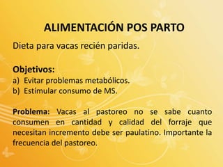 ALIMENTACIÓN POS PARTO
Dieta para vacas recién paridas.
Objetivos:
a) Evitar problemas metabólicos.
b) Estímular consumo de MS.
Problema: Vacas al pastoreo no se sabe cuanto
consumen en cantidad y calidad del forraje que
necesitan incremento debe ser paulatino. Importante la
frecuencia del pastoreo.
 
