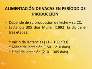 ALIMENTACIÓN DE VACAS EN PERÍODO DE
PRODUCCION
- Depende de su producción de leche y su CC.
- Lactancia 305 días Muller (1992) la divide en
tres etapas:
* Inicio de lactancias (21 – 150 días)
* Mitad de lactación (150 – 210 días)
* Final de lactación (210 – 305 días)
 