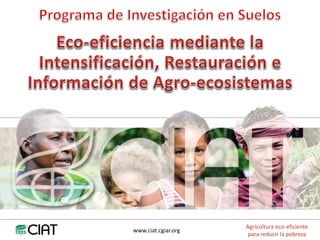 www.ciat.cgiar.org
Agricultura eco-eficiente
para reducir la pobreza
 