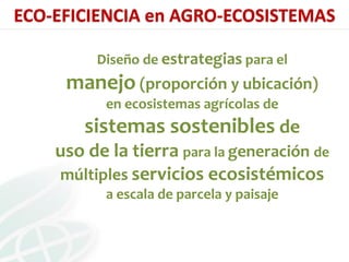 Presentación aracely castro casa abierta ciat 2013