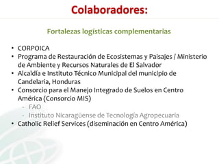 Presentación aracely castro casa abierta ciat 2013