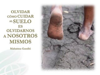 Presentación aracely castro casa abierta ciat 2013