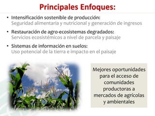 Presentación aracely castro casa abierta ciat 2013