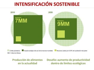 Presentación aracely castro casa abierta ciat 2013