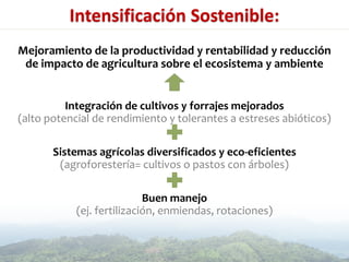 Presentación aracely castro casa abierta ciat 2013