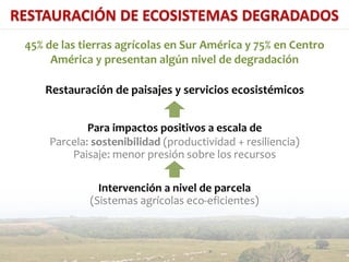 Presentación aracely castro casa abierta ciat 2013