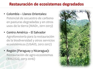 Presentación aracely castro casa abierta ciat 2013