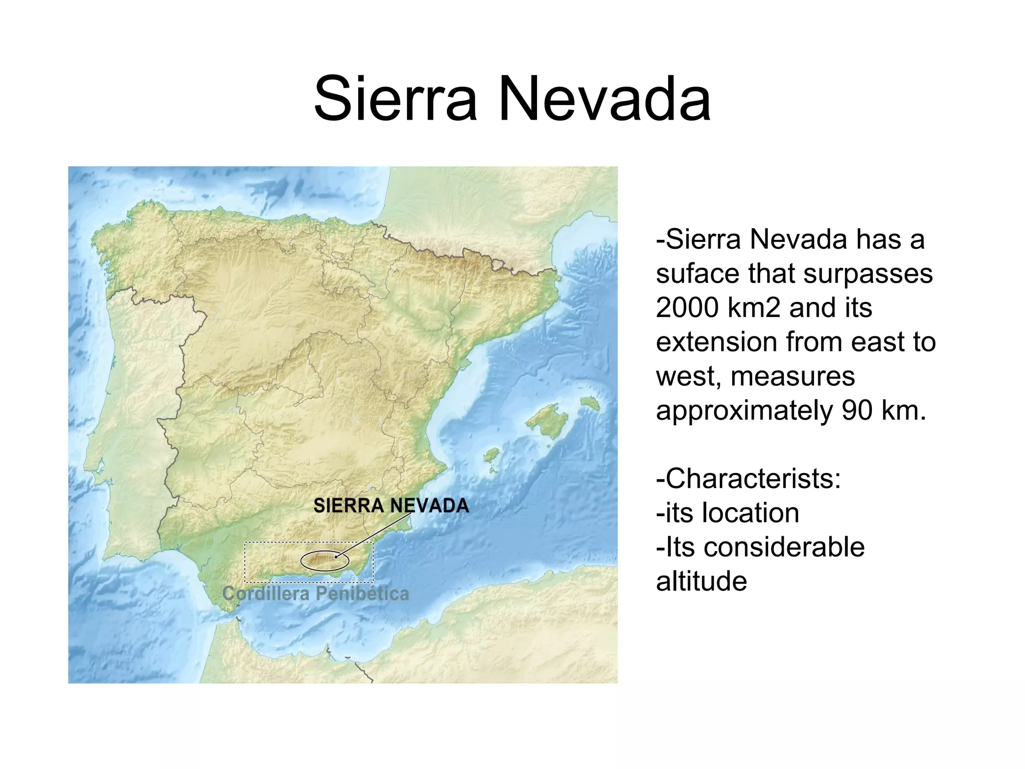 Presentación arce sierra nevada (word) | PPT