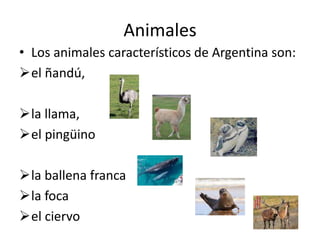 Animales
• Los animales característicos de Argentina son:
el ñandú,
la llama,
el pingüino
la ballena franca
la foca
el ciervo
 