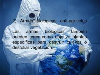 2) Armas biológicas anti-agrícolas
Las armas biológicas también
pueden tener como objetivo plantas
específicas para destruir cultivos o
desfoliar vegetación.

 