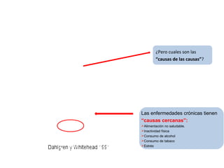 ¿Pero cuales son las
“causas de las causas”?
Las enfermedades crónicas tienen
“causas cercanas”:
Alimentación no saludable.
Inactividad física
Consumo de alcohol
Consumo de tabaco
Estrés
 