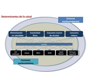 Contexto
socieconómico
Entorno
medioambiental
Alimentación
no saludable
Inactividad
física
Consumo nocivo
de alcohol
Consumo
tabaco
Enf
cardiovasc
Enf
cardiovasc CáncerCáncer DM IIDM II EPOCEPOC Salud
Mental
Salud
Mental
Enf musc-
esqueletic
Enf musc-
esqueletic
Estrés
8
Determinantes de la salud
 