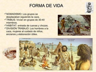 FORMA DE VIDAFORMA DE VIDA
NOMADISMO: Los grupos se
desplazaban siguiendo la caza.
TRIBUS: Vivían en grupos de 30-40
miembros.
HÁBITAT: entrada de cuevas y chozas.
DIVISIÓN TRABAJO: Los hombres a la
caza, mujeres al cuidado de niños,
ancianos y elaboración útiles.
 