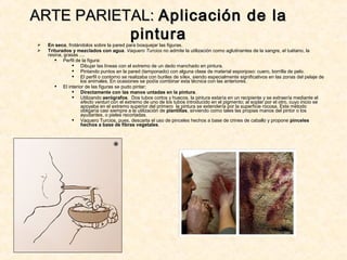  En seco, frotándolos sobre la pared para bosquejar las figuras.
 Triturados y mezclados con agua. Vaquero Turcios no admite la utilización como aglutinantes de la sangre, el tuétano, la
resina, grasas ....
 Perfil de la figura:
 Dibujar las líneas con el extremo de un dedo manchado en pintura.
 Pintando puntos en la pared (tamponado) con alguna clase de material esponjoso: cuero, borrilla de pelo.
 El perfil o contorno se realizaba con buriles de sílex, siendo especialmente significativos en las zonas del pelaje de
los animales. En ocasiones se podía combinar esta técnica con las anteriores.
 El interior de las figuras se pudo pintar:
 Directamente con las manos untadas en la pintura.
 Utilizando aerógrafos. Dos tubos cortos y huecos, la pintura estaría en un recipiente y se extraería mediante el
efecto venturi con el extremo de uno de los tubos introducido en el pigmento; al soplar por el otro, cuyo inicio se
apoyaba en el extremo superior del primero la pintura se extendería por la superficie rocosa. Este método
obligaría casi siempre a la utilización de plantillas, sirviendo como tales las propias manos del pintor o los
ayudantes, o pieles recortadas.
 Vaquero Turcios, pues, descarta el uso de pinceles hechos a base de crines de caballo y propone pinceles
hechos a base de fibras vegetales.
ARTE PARIETAL:ARTE PARIETAL: Aplicación de laAplicación de la
pinturapintura
 