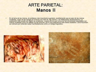 • En el tema de las manos, el problema más importante suscitado, posiblemente sea el caso de las manos
mutiladas. (caso de las Gargas en Francia con más de 190 manos, o en Maltravieso (Extremadura). La
explicación sólo puede ser objeto de conjeturas. Luquet afirma que nunca se han encontrado esqueletos con
manos mutiladas como se reflejan en las pinturas, por lo que estaríamos ante dedos doblados. Leroi-Gourham
se inclinará por entender estas manifestaciones como un código lingüístico.
ARTE PARIETAL:ARTE PARIETAL:
Manos IIManos II
 