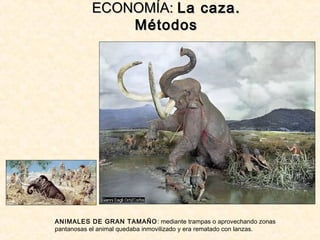 ECONOMÍA:ECONOMÍA: La caza.La caza.
MétodosMétodos
ANIMALES DE GRAN TAMAÑO: mediante trampas o aprovechando zonas
pantanosas el animal quedaba inmovilizado y era rematado con lanzas.
 