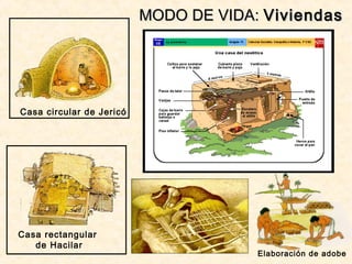 Casa rectangular
de Hacilar
Casa circular de Jericó
MODO DE VIDA:MODO DE VIDA: ViviendasViviendas
Elaboración de adobe
 
