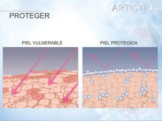 22 
PROTEGER 
PIEL VULNERABLE 
PIEL PROTEGIDA  