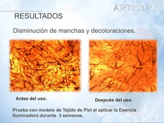 30 
Después del uso. 
Disminución de manchas y decoloraciones. 
Antes del uso. 
Prueba con modelo de Tejido de Piel al aplicar la Esencia Iluminadora durante 3 semanas. 
RESULTADOS  
