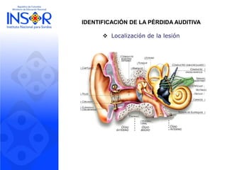 Desarrollo y competencias de los bebés de 0 a
1 año: Los bebés descubren el mundo
(MEN, 2009)
IDENTIFICACIÓN DE LA PÉRDIDA AUDITIVA
 Localización de la lesión
 