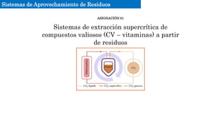 Sistemas de Aprovechamiento de Residuos
Sistemas de extracción supercrítica de
compuestos valiosos (CV – vitaminas) a partir
de residuos
ASIGNACIÓN 01
 