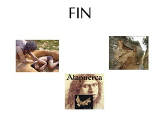 FIN
 