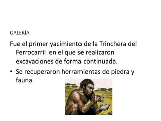 GALERÍA.
Fue el primer yacimiento de la Trinchera del
Ferrocarril en el que se realizaron
excavaciones de forma continuada.
• Se recuperaron herramientas de piedra y
fauna.
 