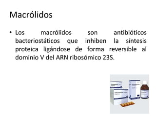 Macrólidos 
• Los macrólidos son antibióticos 
bacteriostáticos que inhiben la síntesis 
proteica ligándose de forma reversible al 
dominio V del ARN ribosómico 23S. 
 