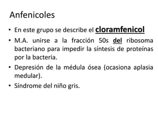 Anfenicoles 
• En este grupo se describe el cloramfenicol 
• M.A. unirse a la fracción 50s del ribosoma 
bacteriano para impedir la síntesis de proteínas 
por la bacteria. 
• Depresión de la médula ósea (ocasiona aplasia 
medular). 
• Síndrome del niño gris. 
 