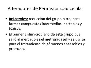 Alteradores de Permeabilidad celular 
• Imidazoles: reducción del grupo nitro, para 
formar compuestos intermedios inestables y 
tóxicos. 
• El primer antimicrobiano de este grupo que 
salió al mercado es el metronidazol y se utiliza 
para el tratamiento de gérmenes anaerobios y 
protozoos. 
 