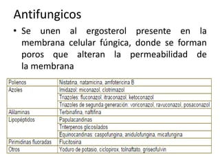 Antifungicos 
• Se unen al ergosterol presente en la 
membrana celular fúngica, donde se forman 
poros que alteran la permeabilidad de 
la membrana 
 