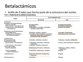 Betalactámicos 
• Anillo de 4 lados que forma parte de la estructura del núcleo. 
 