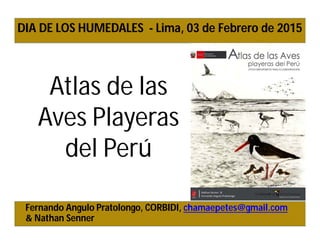 Atlas de las
Aves Playeras
del Perú
Fernando Angulo Pratolongo, CORBIDI, chamaepetes@gmail.com
& Nathan Senner
DIA DE LOS HUMEDALES - Lima, 03 de Febrero de 2015
 