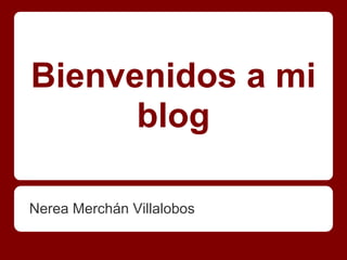 Bienvenidos a mi
      blog

Nerea Merchán Villalobos
 