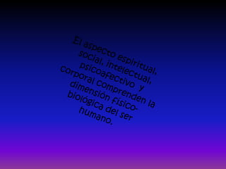 PresentacióN Ava M Anuel