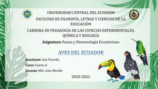 UNIVERSIDAD CENTRAL DEL ECUADOR
FACULTAD DE FILOSOFÍA, LETRAS Y CIENCIAS DE LA
EDUCACIÓN
CARRERA DE PEDAGOGÍA DE LAS CIENCIAS EXPERIMENTALES,
QUÍMICA Y BIOLOGÍA
Asignatura: Fauna y Etnozoología Ecuatoriana
Estudiante: Ana Parreño
Curso: Cuarto A
Docente: MSc. Iván Morillo
2020-2021
 